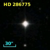 HD 286775