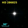 HD 286825