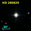 HD 286829