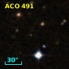 ACO   491