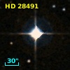 NLTT 13378