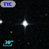 TYC 5313-2317-1