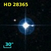 HD  28365