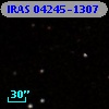 IRAS 04245-1307