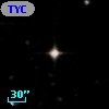 TYC 5319-1269-1