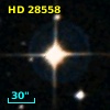 HD  28558