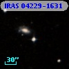 IRAS 04229-1631