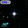 CPD-19   499