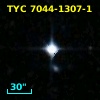 TYC 7044-1307-1