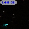 L  446-38
