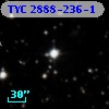 TYC 2888-236-1