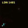 LDN 1481