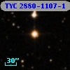TYC 2880-1107-1