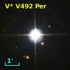V* V492 Per