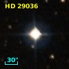 HD  29036