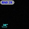 RNO  29