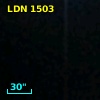 LDN 1503