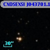 CXOSEXSI J043701.1+294148