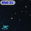 RNO  31