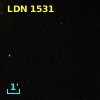 LDN 1531