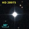 HD  28975