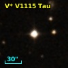 V* V1115 Tau