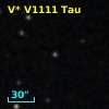 V* V1111 Tau