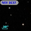 NSV  1637