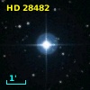 HD  28482