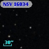 NSV 16034