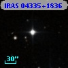 IRAS 04335+1836