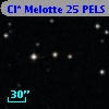 Cl* Melotte   25   PELS      89