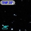 TAP 37