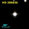 HD 286836