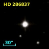 HD 286837