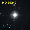 HD  29247