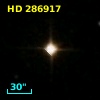 HD 286917