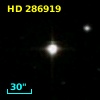 HD 286919