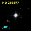 HD 286877