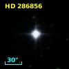 HD 286856