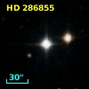 HD 286855