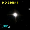 HD 286844