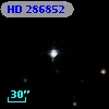 HD 286852