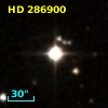 HD 286900
