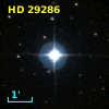 HD  29286