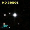 HD 286901