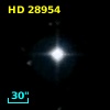 HD  28954