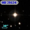 HD  29124
