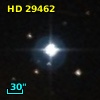 HD  29462