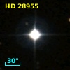 HD  28955